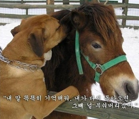 지역감정 생긴이유좀 길지만 읽어봐 피가 되고 살이되고 상식이 되고 바른생각을 가지게됨 | 인스티즈