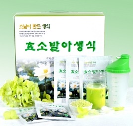 스님이만든생식 이미지
