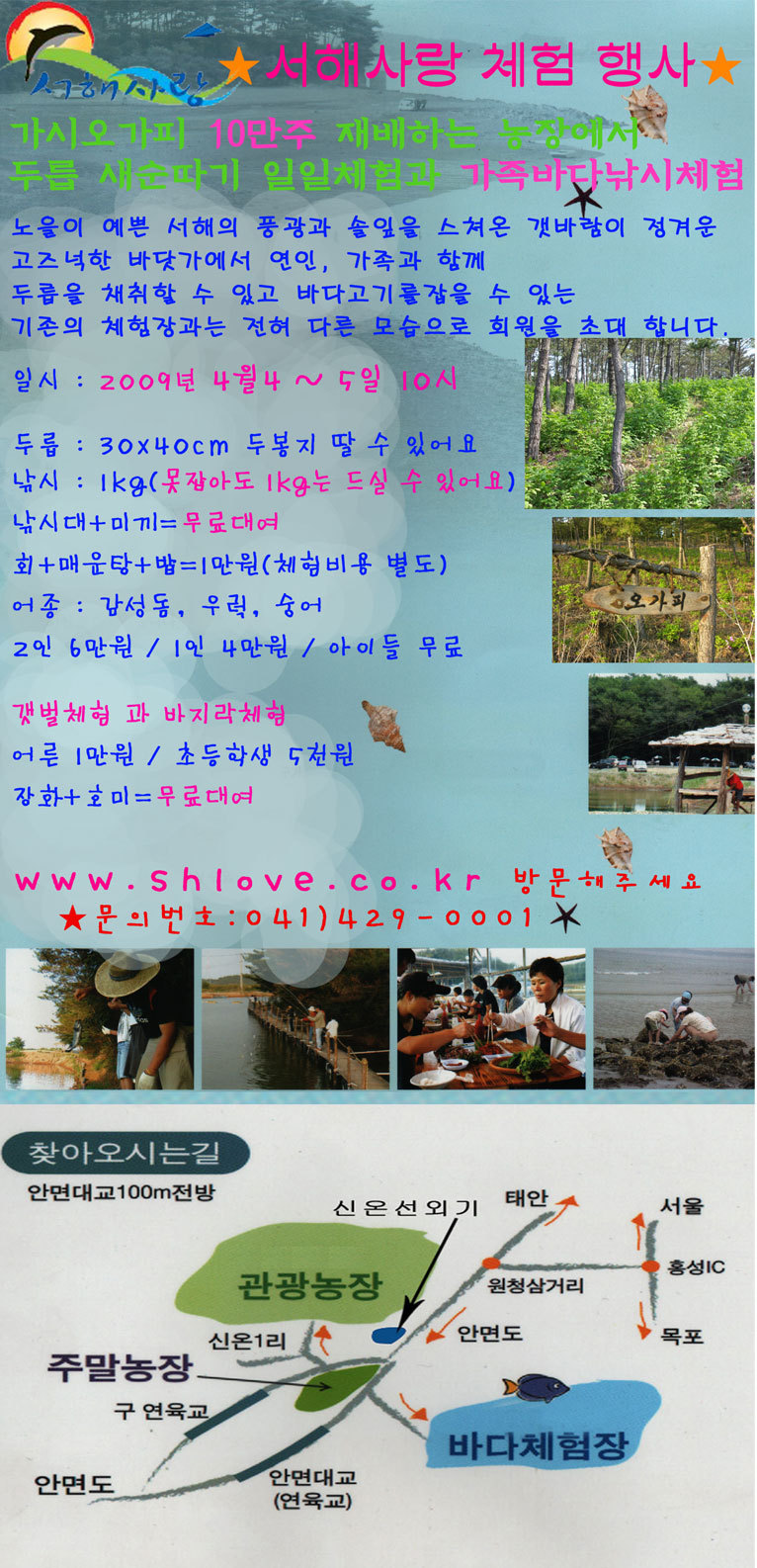 서해사랑 이미지