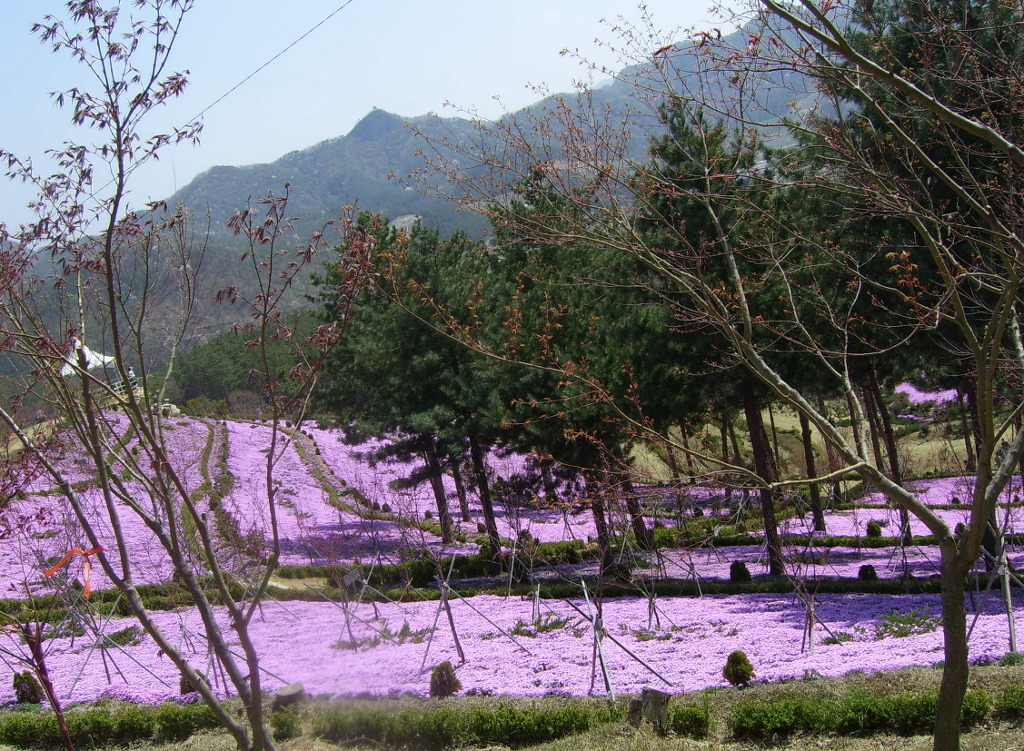잔디공원 이미지