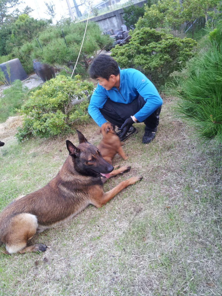 카피커피 이미지