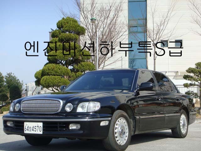 다이너스티 이미지