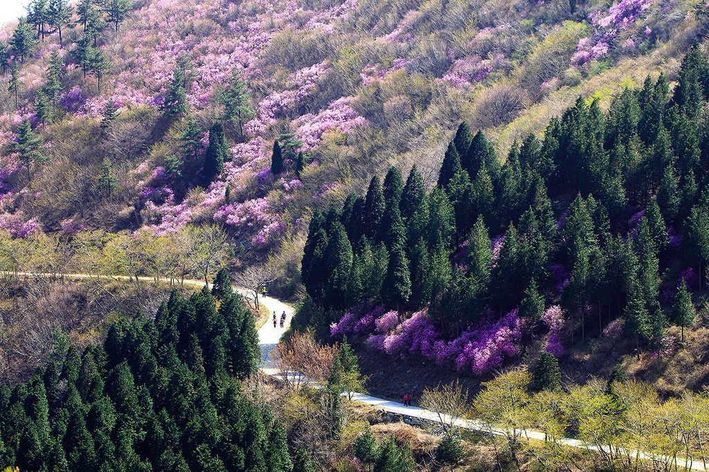 취산 이미지