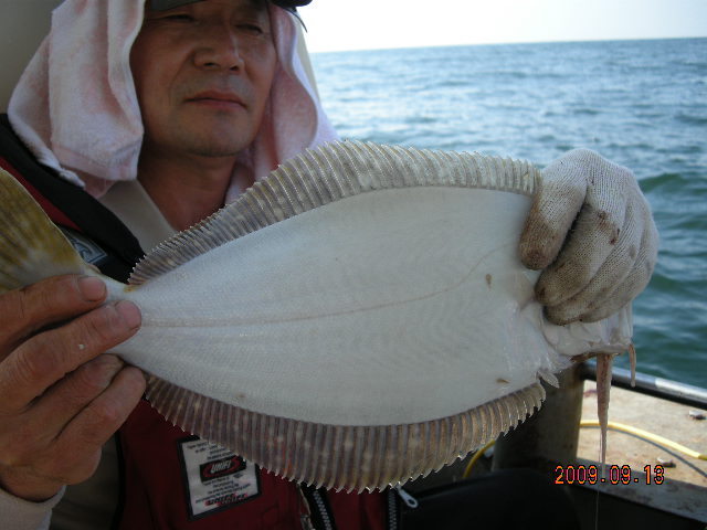 서해피싱호 이미지