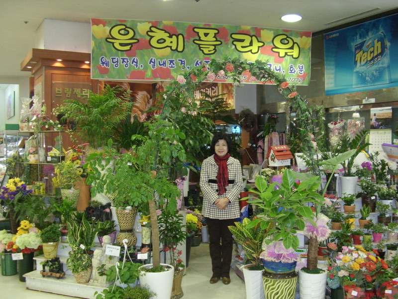은혜플라워 이미지