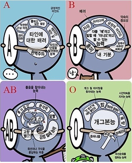 본구조 이미지