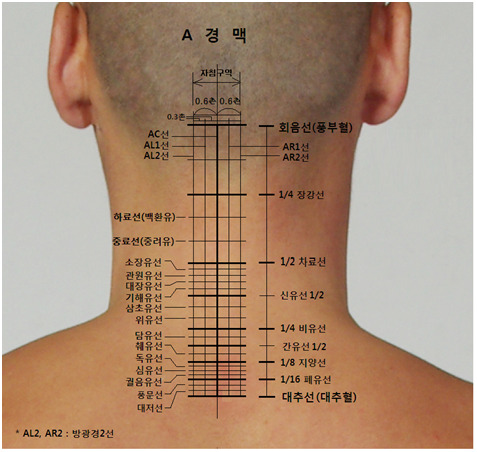 (주)경맥 이미지