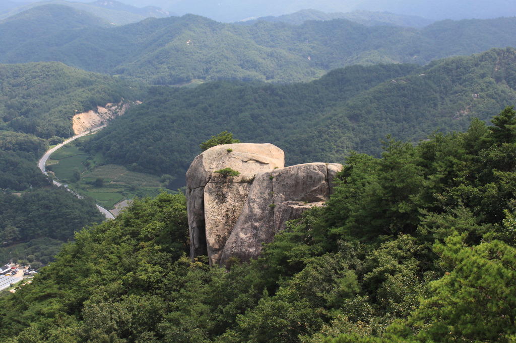 동아고속관광(주) 이미지