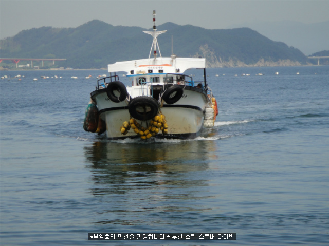 부영호 이미지