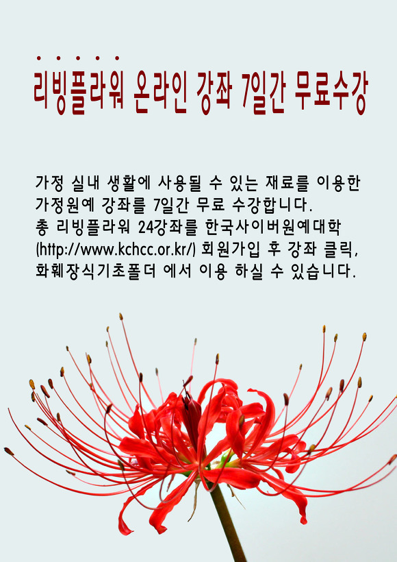 리빙플라워 이미지