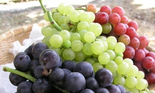 여시들은 | 인스티즈