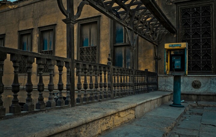 숨은 고양이 찾기 | 인스티즈