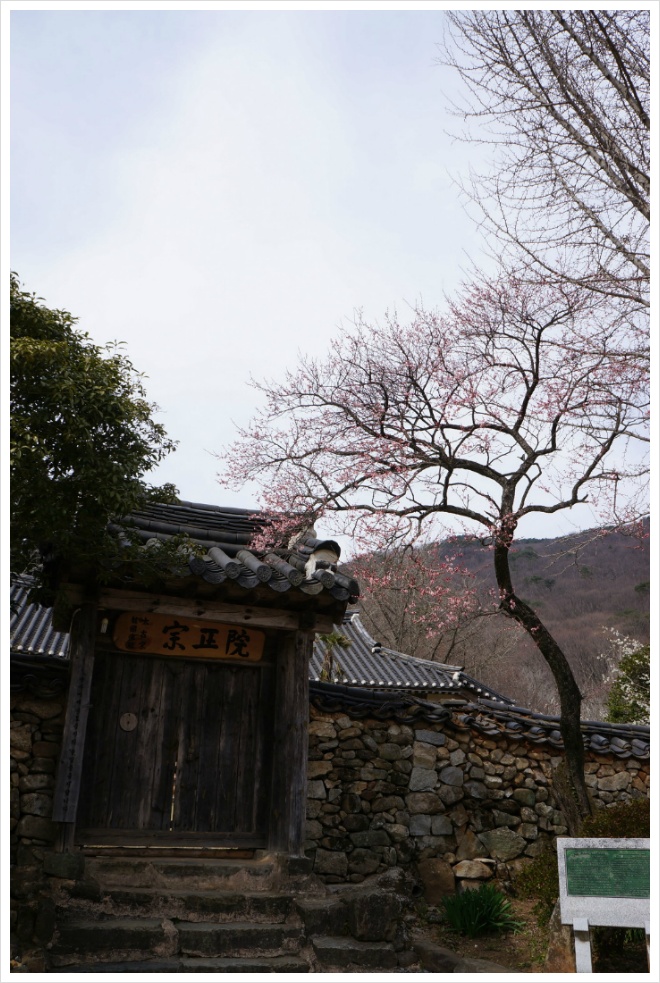 연지곤지각시방 이미지