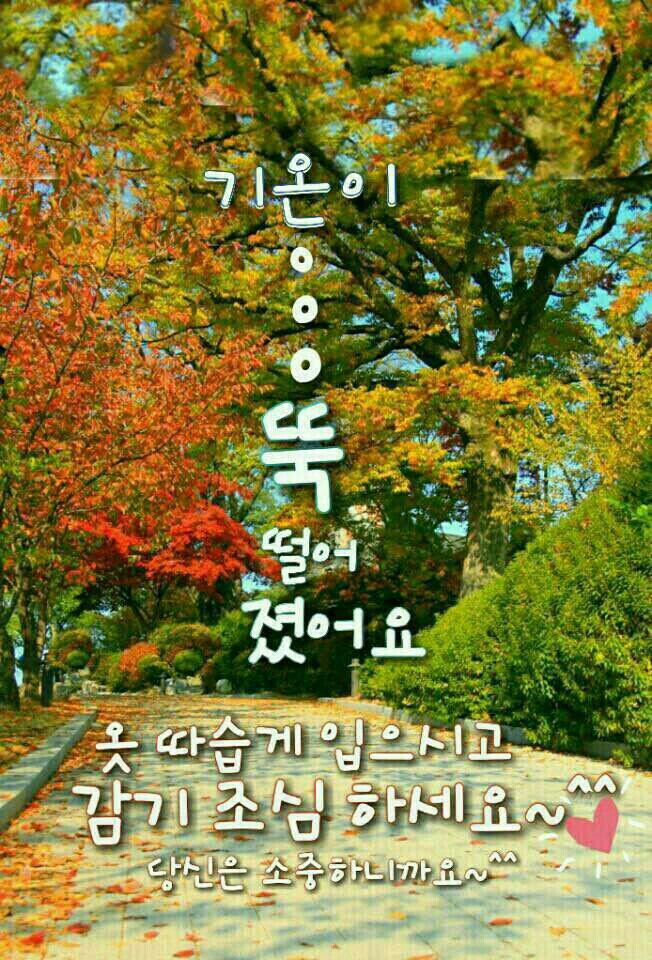 고은님 이미지