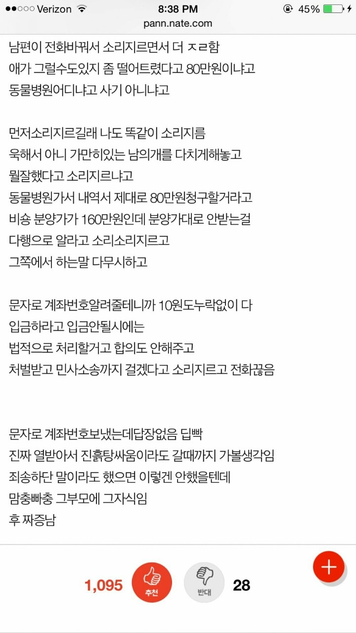 강아지를 집어던진 아이들과 애견샵 주인 | 인스티즈
