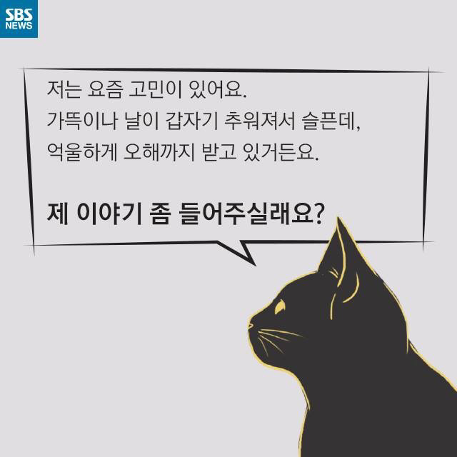 길고양이가 뚱뚱한 이유 | 인스티즈