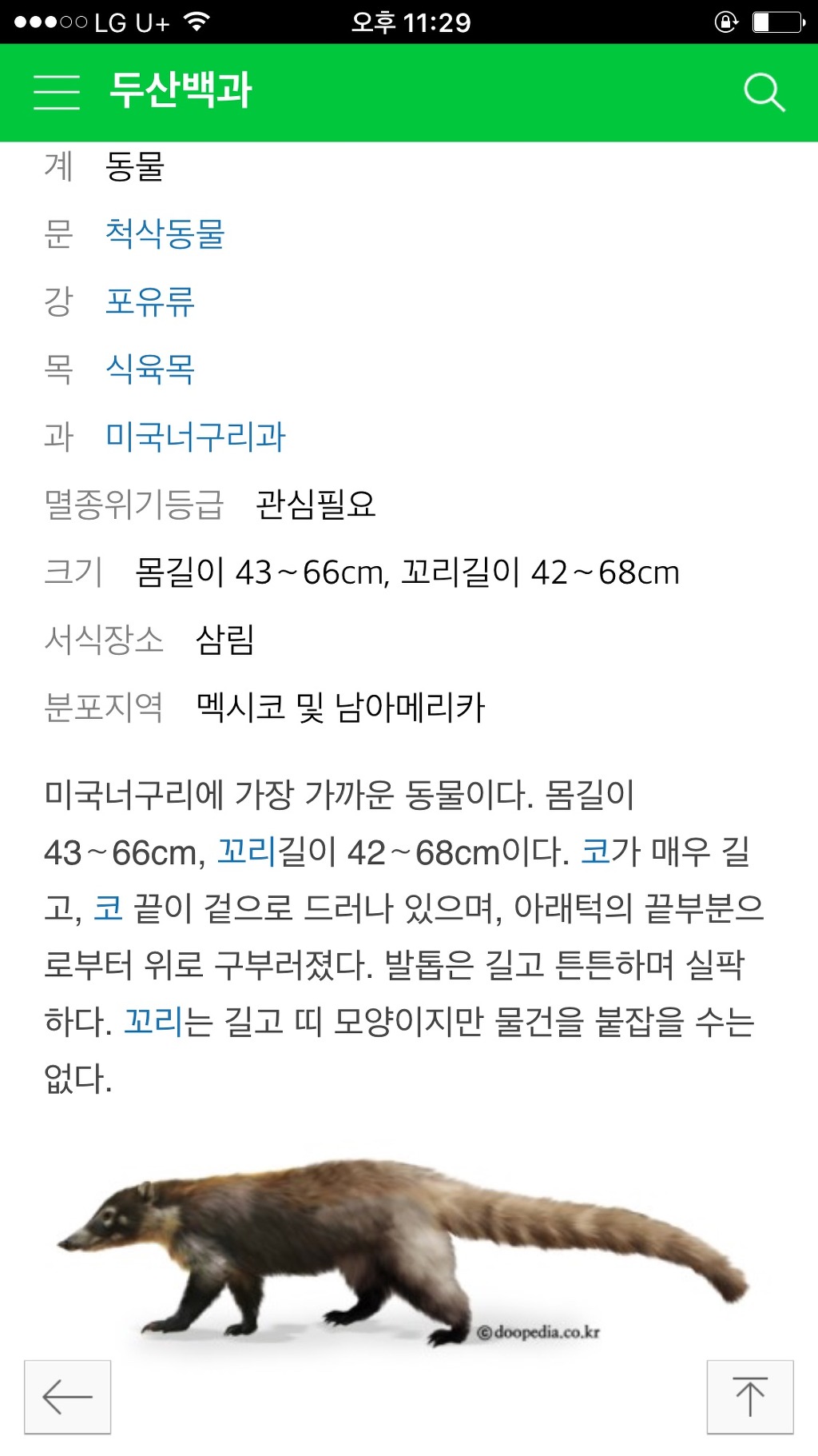 멸종위기 동물 학대다 vs 멸종위기 동물 보여주는게 신기하다 | 인스티즈