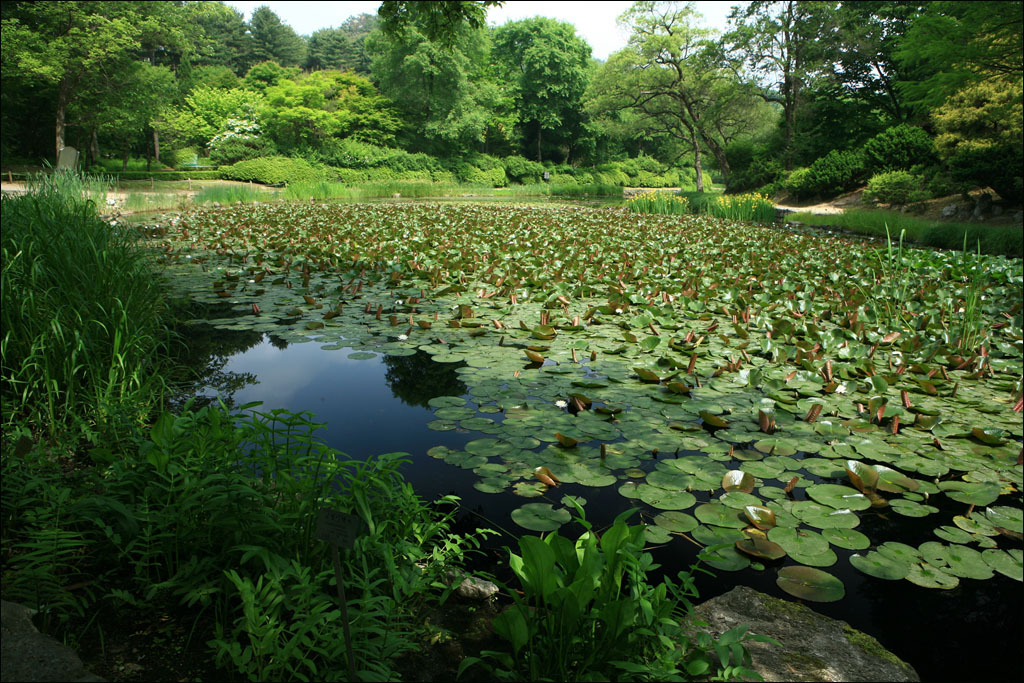 국립수목원 이미지