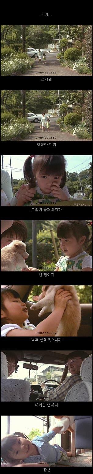 [눈물주의슬픔주의] 강아지의 일생 | 인스티즈