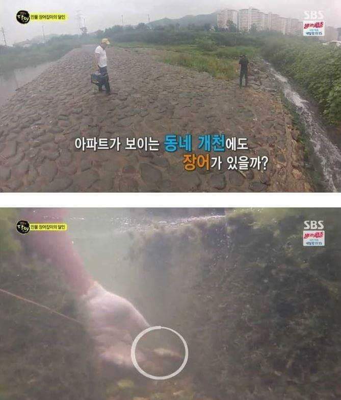 자연산 장어의 위엄 | 인스티즈