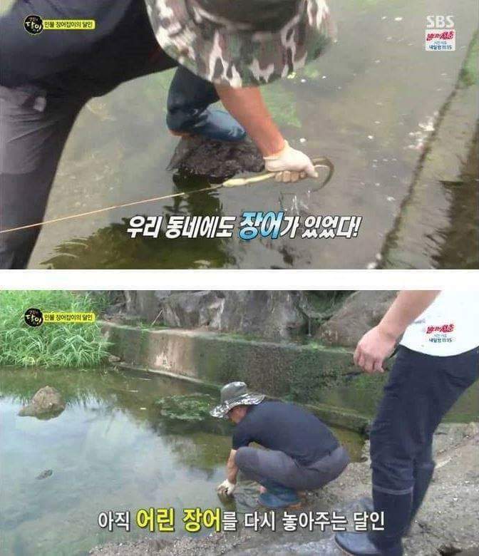 장어의 효과 | 인스티즈