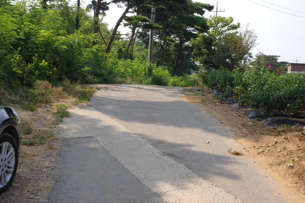 삼화리 이미지