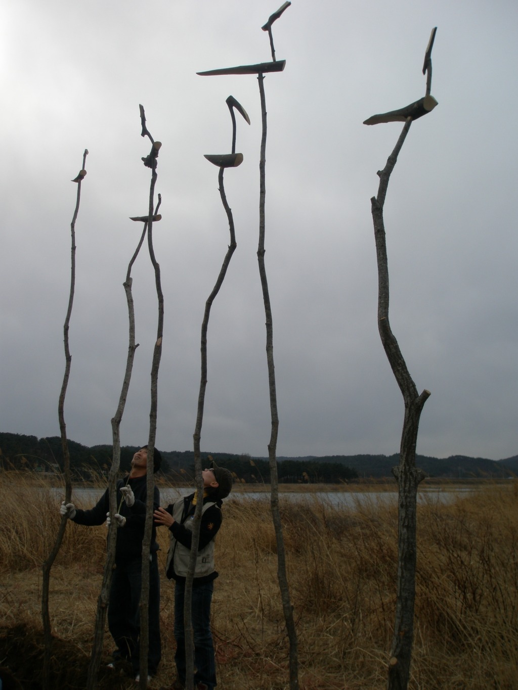보름1 이미지