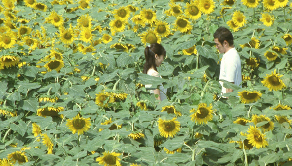 今、会いに行きます | 인스티즈