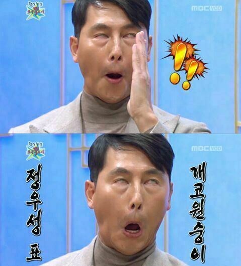 개코원숭이 | 인스티즈