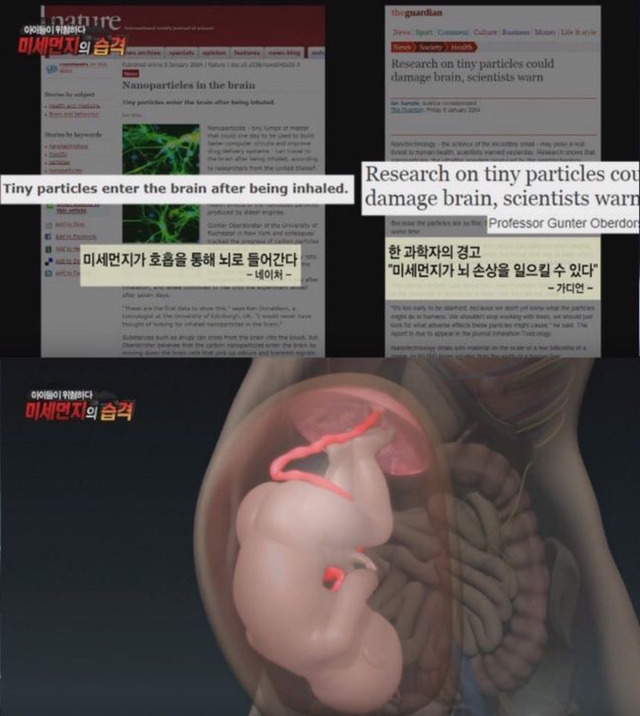 미세먼지의 위험성 | 인스티즈