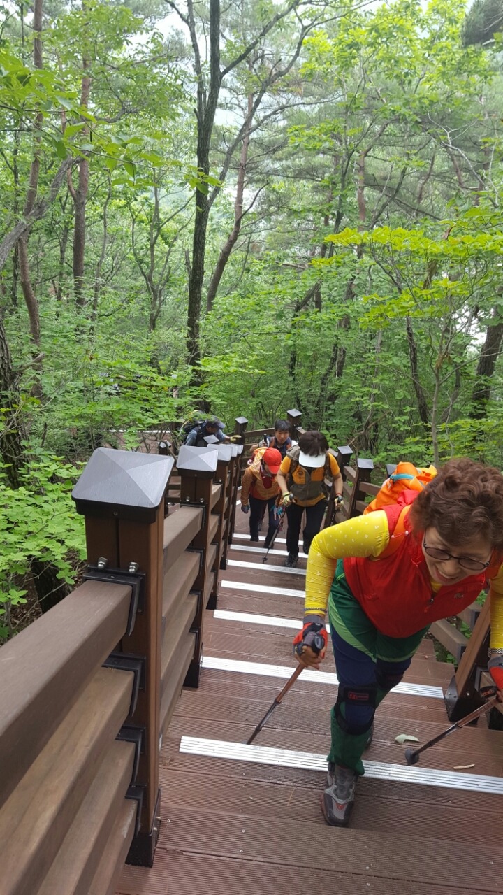 가지산농원 이미지