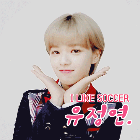 트와이스 정연에 대한 잘못된상식 | 인스티즈