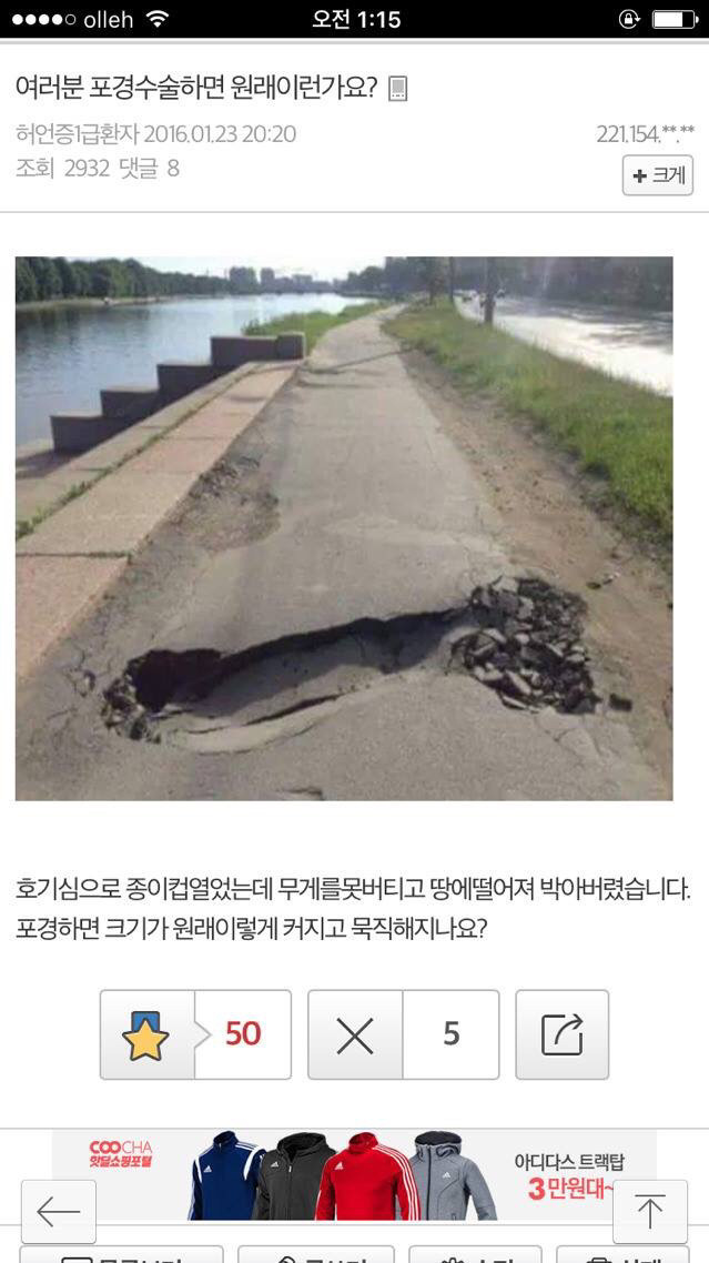 허언증 갤러리 레전드.jpg | 인스티즈