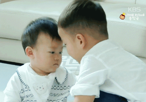 아기가 아기를 예뻐하는 삼둥이와 대박이♡♡♡ | 인스티즈