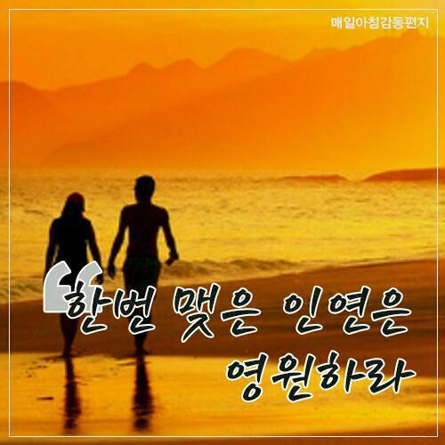 시작 이미지