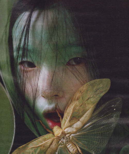 거대한 스케일의 판타지를 표현하는 사진계의 팀 버튼 . jpg | 인스티즈