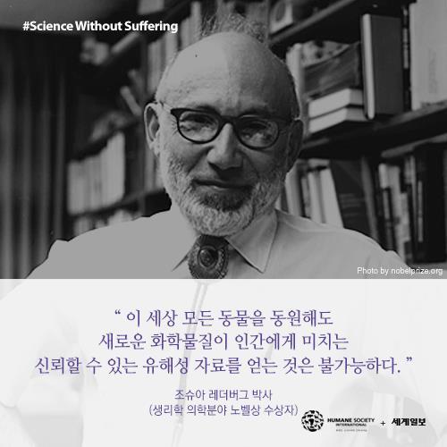 저를 죽이기 전에 눈을 한번 봐주세요(혐오주의) | 인스티즈