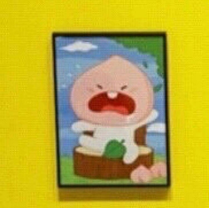 카카오프렌즈 캐릭터들의 돌사진 | 인스티즈