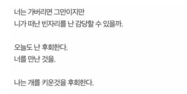 나는 개를 키운것을 후회한다 | 인스티즈