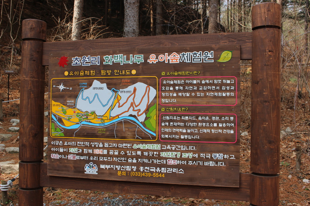 화백나무 유아숲체험원 이미지