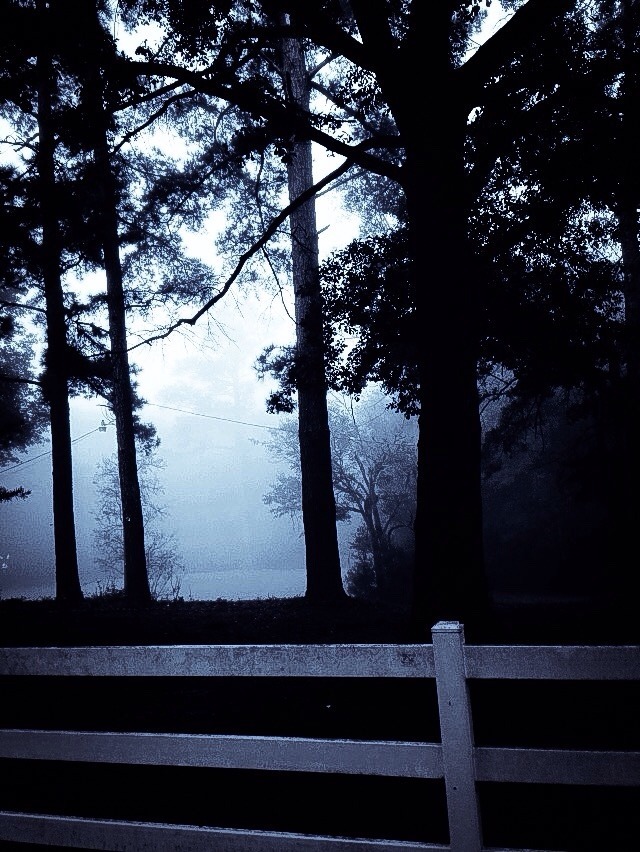 나 이끼처럼 당신을 덮고 있어요.﻿ | 인스티즈