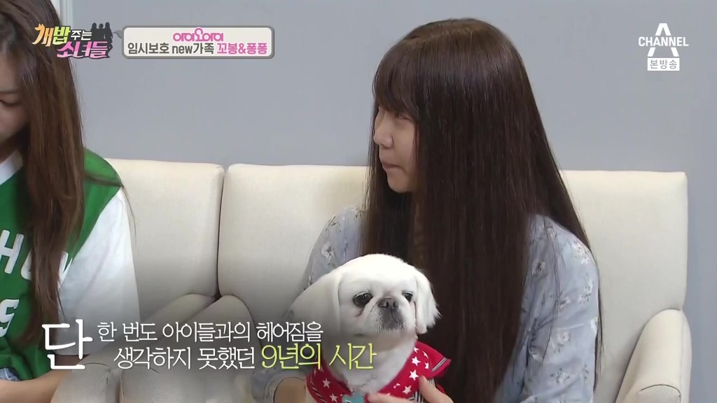 반려견 떠나보내는 암 말기 환자 ㅠㅠㅠ | 인스티즈