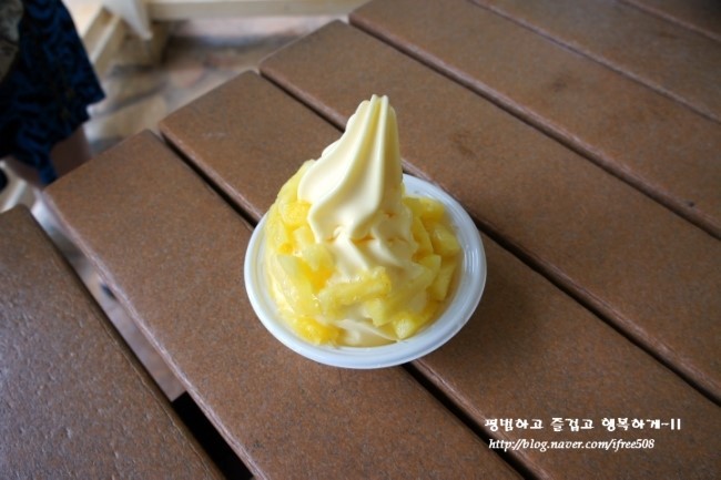 돌이가든 이미지