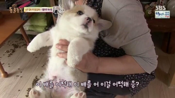 맥 이미지
