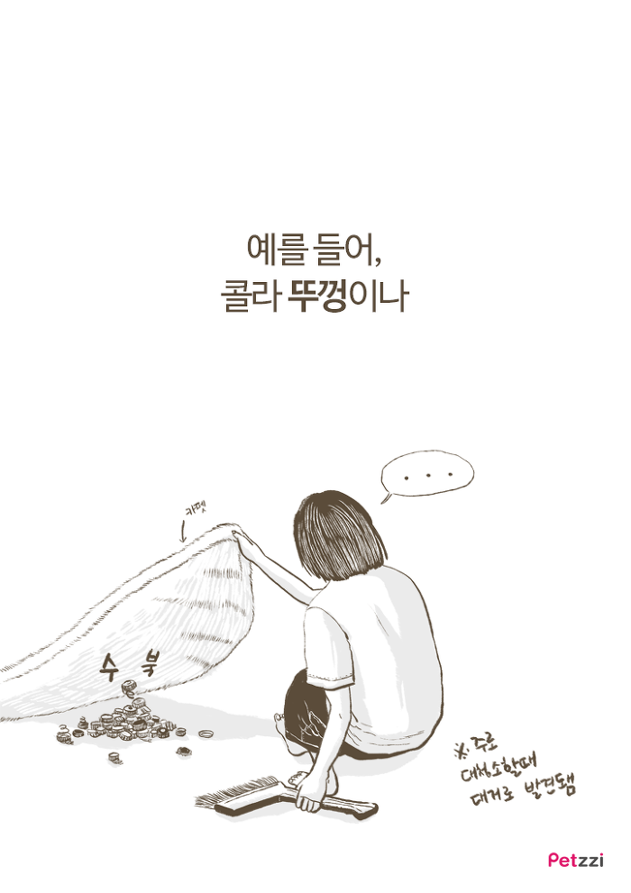 이해할 수 없는 고양이들의 취향.jpg | 인스티즈