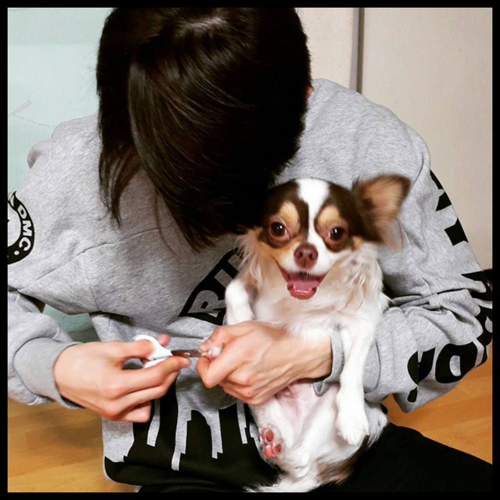 양갱네일 이미지