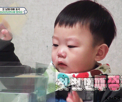 바나나 까달라고 쳐다보는 대박이.gif | 인스티즈