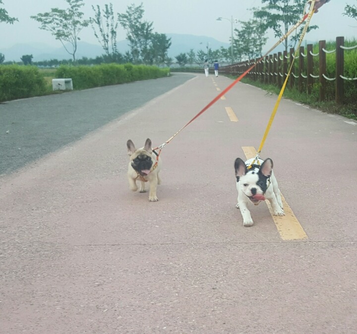 봉자 이미지