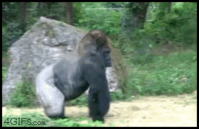 ??? : 윈스턴님 라인하르트 해주세요~.gif | 인스티즈