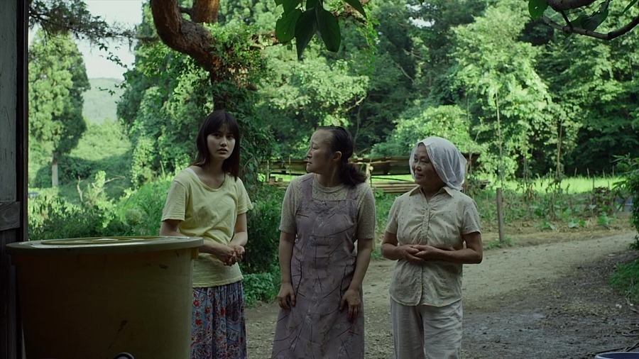 한국에서 리메이크 예정인 일본 힐링영화 리틀포레스트 (Little Forest) | 인스티즈